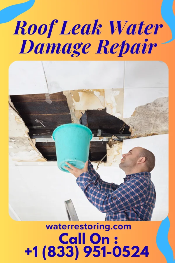 Roof Leak Water Damage Repair in Index, WA